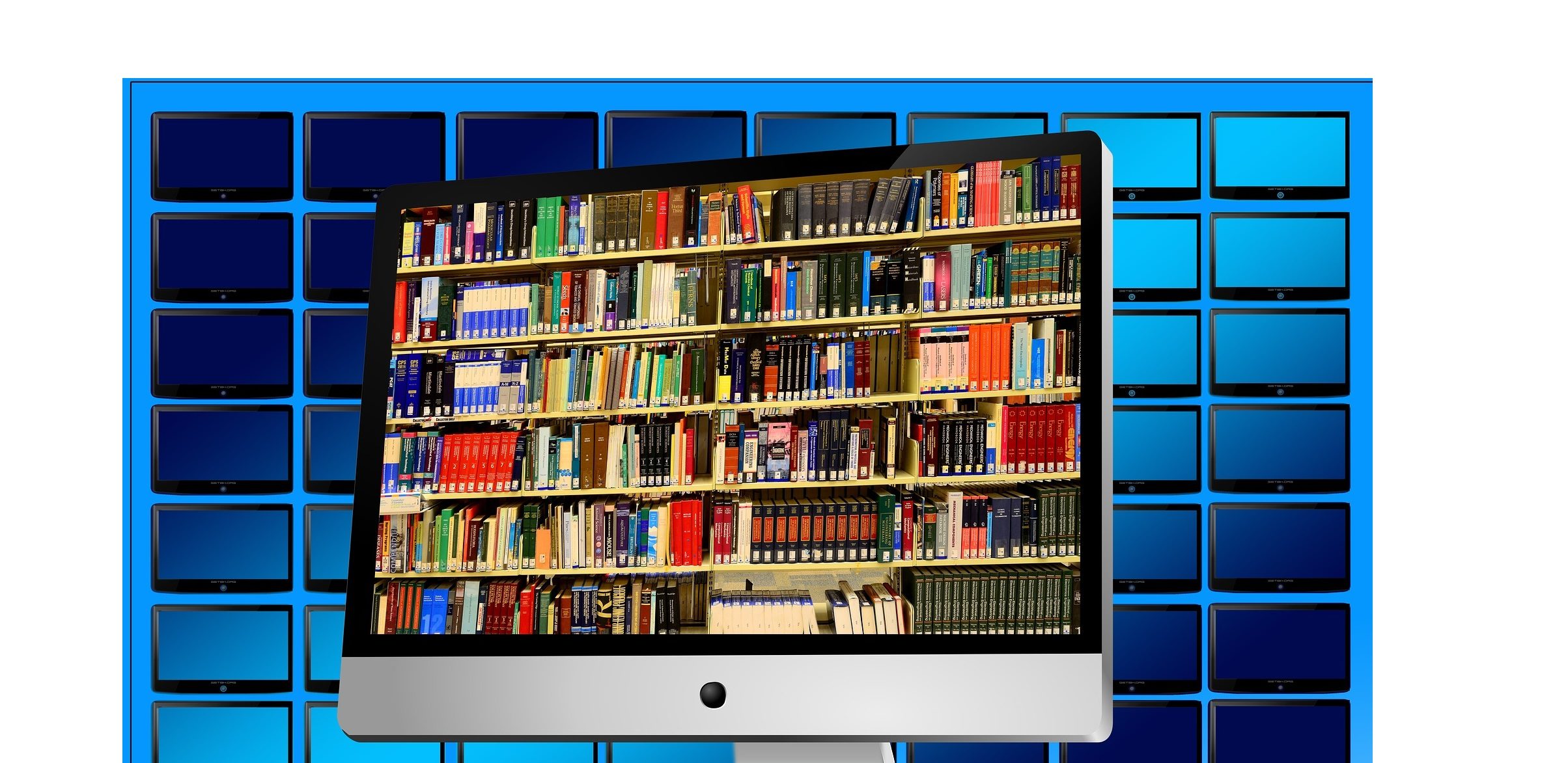 books displayed on a computer screen